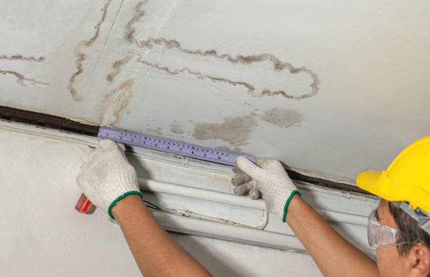 Reliable Burst Pipe Cleanup contractor in Port Jefferson, OH by Water Damage Irwin